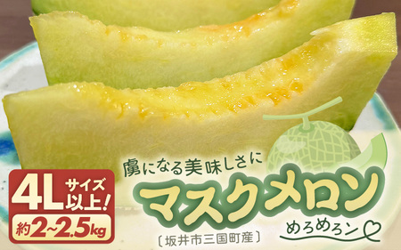 【先行予約】 マスクメロン 4Lサイズ以上 1玉 （約2～2.5kg） 虜になる美味しさにめろめろン? 大切な人の笑顔がみたいあなたへ 【2026年10月下旬以降順次発送予定】【メロン めろん フルーツ デザート 果物 くだもの 果実 青肉 糖度 甘い ジューシー お取り寄せ グルメ 産地直送】 [A-16204]