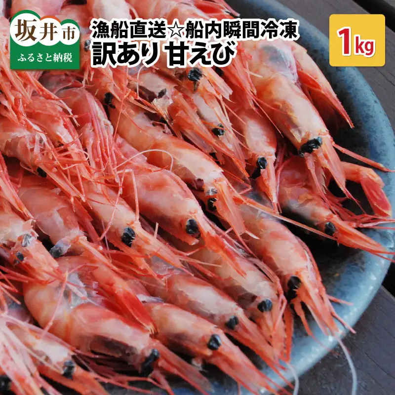【訳あり】甘えび 約1kg 漁船直送☆船内瞬間冷凍【ワケアリ 海老 えび エビ アマエビ あまえび 甘海老 殻付き 有頭 生食 刺身 冷凍 魚介類 魚貝類 産地直送 坂井市産 福井県産 国産 三国 人気】 [A-23105]