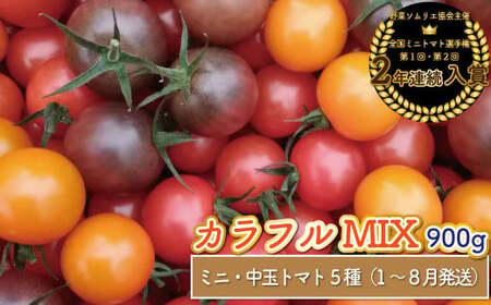 【2025年12月～発送】＜900g＞カラフル トマト 5種MIX フルティカなど　ましまファーム ミニトマト フルーツトマト アイメック   ミックス フルティカ＆ミニ4種