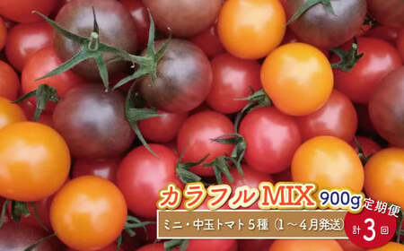 【2027年1月～4月頃発送】＜約900g×3回 定期便 ＞カラフルトマト アイメック トマト 5種 MIX フルティカ ＞ましまファーム ミニトマト フルーツトマト 糖度訳あり