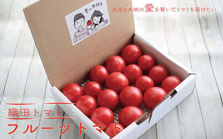 ≪2027年1月頃～発送≫ 織田トマト フルーツトマト 約1kg 高知 真っ赤なフルーツ太陽　＜毎年1月頃～５月頃まで発送＞