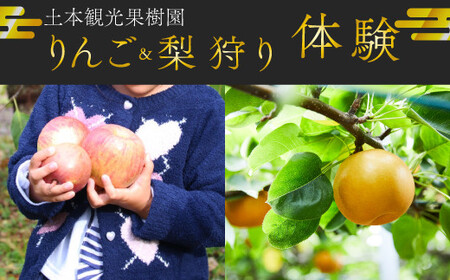 りんご狩り 梨狩り　果物収穫体験 + 生ジュース搾り体験 土本観光果樹園 お土産付 高知で果物狩り