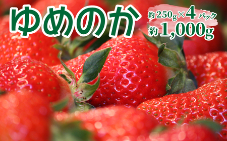 いちご　ゆめのか 250g×4パック　秀品　苺【期間・数量限定】贈答用　＜2027年1月下旬～3月下旬頃発送予定＞