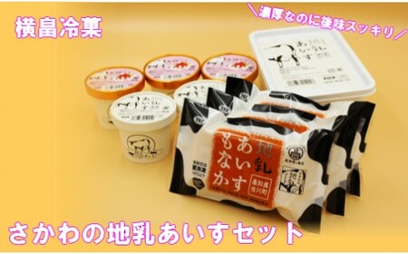 【ふるさと納税】＜さかわの地乳（ぢちち）あいすセット＞ 地乳 あいすもなか　アイス 高知県 佐川町 横畠冷菓【冷凍】