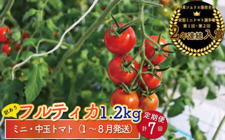 【2027年1月～8月頃発送】＜約1.2kg×7回 定期便＞訳あり アイメック フルティカ トマト＞ましまファーム ミニトマト フルーツトマト  ワケあり 規格外