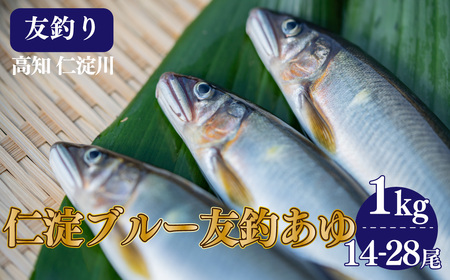 【14-28尾】有名料亭も絶賛！鮎屋仁淀川の仁淀ブルー友釣り天然鮎1㎏【2025年6月アユ漁解禁後発送】