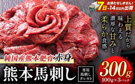 馬刺し 赤身 300g 純国産 熊本 ブロック タレ付 ｜ 馬刺