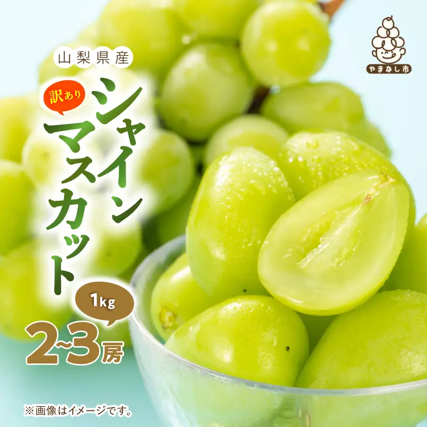 【訳あり】 池田青果のシャインマスカット2房～3房　1kg ふるさと納税【配送不可地域：離島】【1544089】