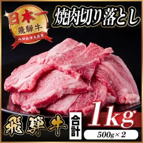 飛騨牛 焼肉切り落とし 約1kg(約500g×2)タレ付き 訳あり【冷蔵便】カルビ・ロースなど_肉 焼肉 牛肉 やきにく ヤキニク バーベキュー_【配送不可地域：離島】【1543362】