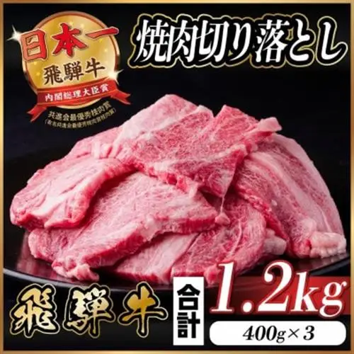 飛騨牛 焼肉切り落とし 約1.2kg(約400g×3)タレ付き 訳あり【冷蔵便】カルビ・ロースなど_肉 焼肉 牛肉 やきにく ヤキニク バーベキュー_【配送不可地域：離島】【1543587】