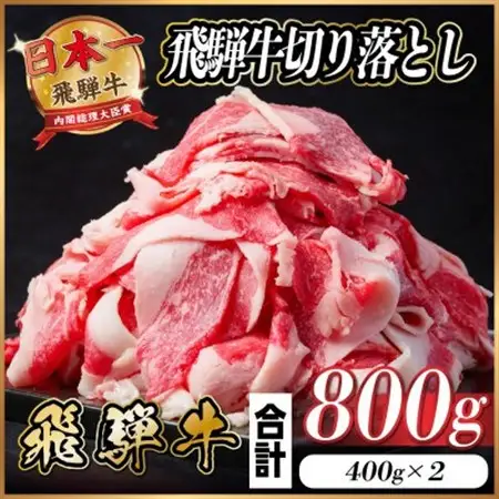 飛騨牛 切り落とし 約800g(約400g×2パック)【冷蔵便】A4～A5等級 黒毛和牛 小分け_肉 飛騨牛 牛肉 うし ビーフ_【配送不可地域：離島】【1544083】