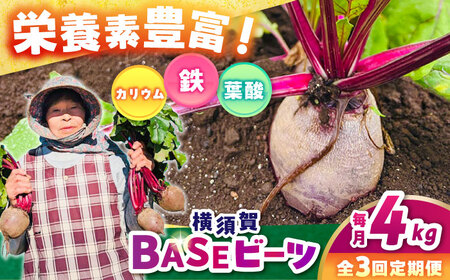 【全3回定期便】横須賀BASEビーツ 4kg（1kg×4袋）【ゆり子ファーム】 [AKCR004]