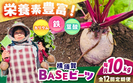 【全12回定期便】横須賀BASEビーツ 10kg（1kg×10袋）【ゆり子ファーム】 [AKCR012]