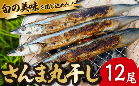 旬 の 美味しさ を閉じ込めた さんま 丸干し ４匹入り×３袋セット 脂 ののった 旬の 秋刀魚 丸ごと 一夜干し 旬の 旨み 脂 を閉じ込めました サンマ 丸干し 海鮮 魚介 三重県 尾鷲 IW-7
