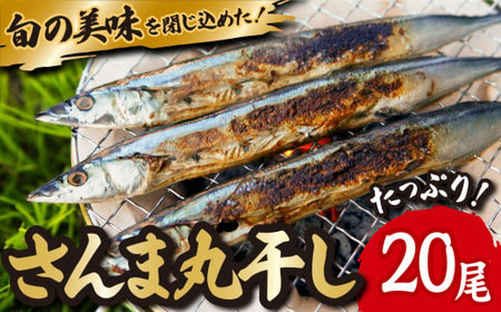 旬 の 美味しさ を閉じ込めた さんま 丸干し ４匹入り×５袋セット 脂 ののった 旬の 秋刀魚 丸ごと 一夜干し 旬の 旨み 脂 を閉じ込めました サンマ 丸干し 海鮮 魚介 三重県 尾鷲 IW-8