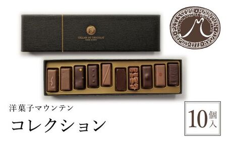 洋菓子マウンテン コレクション (ショコラアソート10種・10個) ふるさと納税 福知山市 スイーツ 洋菓子 チョコレート ショコラ ショコラティエ ボンボンショコラ ガナッシュ プラリネ 一口サイズ 10個入 ギフト プレゼント 【fc-EA002】【ショコラナビ】
