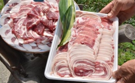 自然の恵み【五名産猪肉】700g 