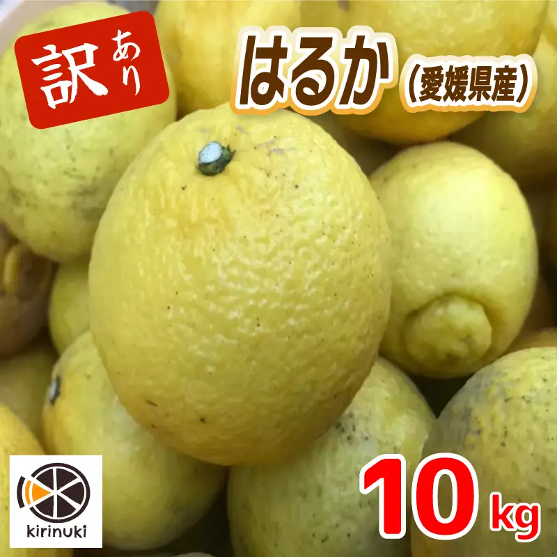 【2027年1月中旬頃から順次発送】 訳あり はるか 10キロ | みかん ミカン 蜜柑 柑橘  愛媛県産 甘い 愛媛みかん フレッシュ おいしい フルーツ 規格外 わけあり 産地直送 果物 数量限定 国産 くだもの 愛媛県 松山市 【KR008】