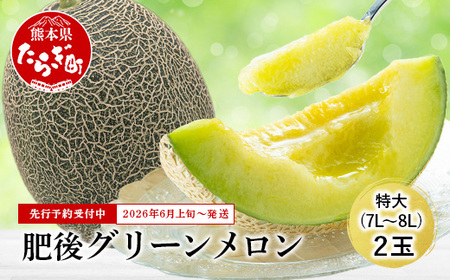 【2026年6月上旬から順次発送】 特大 肥後グリーンメロン 2玉 約5.4kg以上  ～ 果物 フルーツ グリーンメロン 先行予約 5.4kg 青肉 期間限定 数量限定 熊本県 多良木町  101-0002