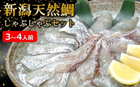 【令和8年3～5月発送】鯛しゃぶセット 3～4人前[Y0034]