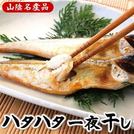 山陰の大型ハタハタ一夜干し　10匹入り【配送不可地域：離島】【1075782】