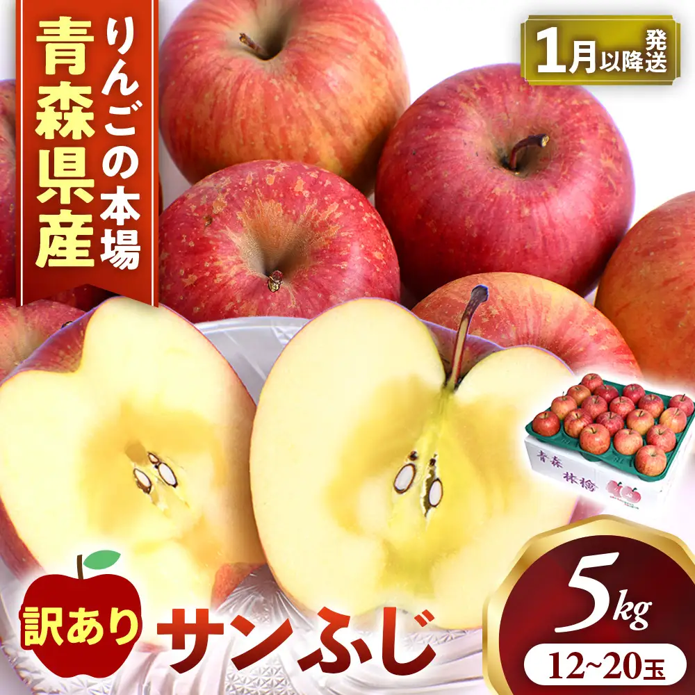 【訳あり】 青森県産りんご サンふじ 約5kg 1月～ りんご