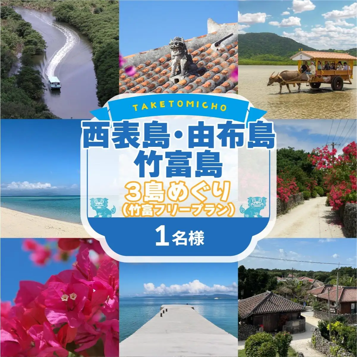 西表島・由布島・竹富島３島めぐり（竹富フリープラン)