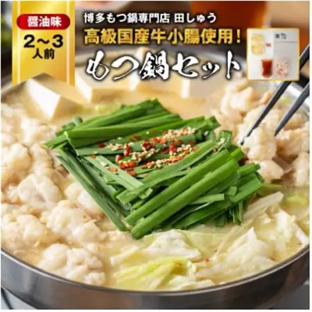 【毎月定期便】【博多もつ鍋専門店　田しゅう】高級国産牛小腸使用　もつ鍋　醤油味　2～3人前全3回_肉 もつ鍋 牛肉 鍋 鍋セット  惣菜・加工品 肉 鍋 なべ ナベ  定期便 定期便  _【配送不可地域：離島】【4055945】