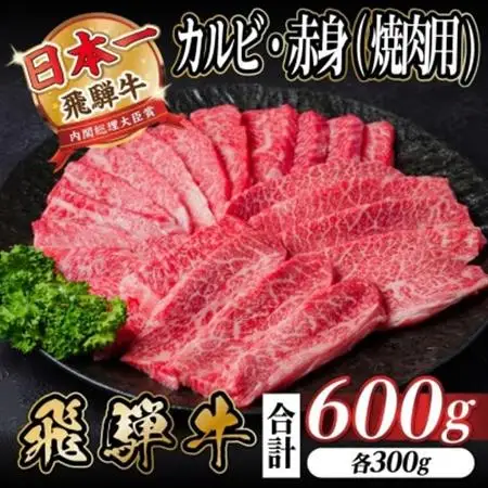 飛騨牛 厳選カルビ・赤身(焼肉・BBQ用)600g　小分け　黒毛和牛　A4～A5等級_肉 焼肉 牛肉 やきにく ヤキニク バーベキュー  肉 飛騨牛 牛肉 うし ビーフ_【配送不可地域：離島】【1543762】