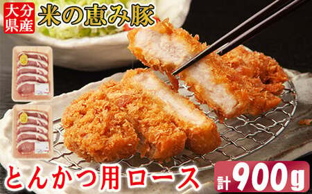 大分県産 米の恵み豚 とんかつ用ロース 計900g（450g×2p） 国産 人気 冷凍 豚肉 米の恵み とんかつ ロース ＜130-018＞