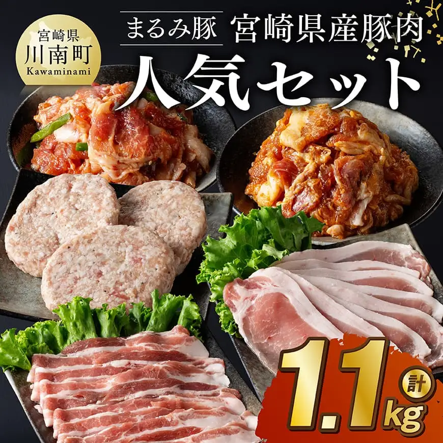 豚肉 「まるみ豚」宮崎県産豚肉 人気セット 計1.1kg 豚肉