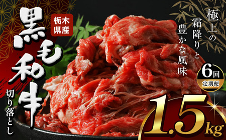 【定期便6回】栃木県産牛 黒毛和牛 切り落とし 1.5kg | 栃木県 下野市
