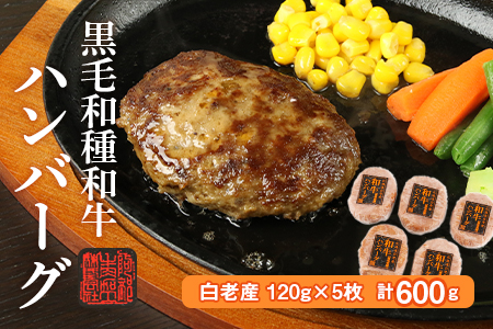黒毛和種和牛ハンバーグ(白老産)　120g×5枚　計600g