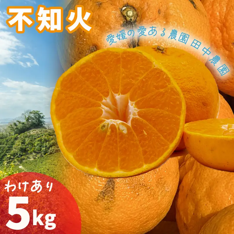 【2027年2月下旬頃から順次発送】不知火 しらぬい 約5kg 【訳あり】でこぽんと同品種 柑橘類 先行予約 フルーツ 柑橘類 先行予約 果物 フルーツ みかん シラヌイ 人気 おすすめ 愛媛 松山 田中農園【TNN0042】