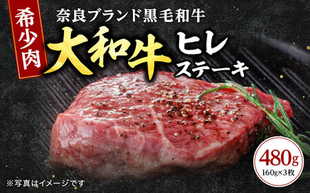 大和牛ヒレステーキ用 160g×3枚 大和牛専門店 一 ステーキ ヒレ ヘレ 黒毛和牛 和牛 牛肉 31-001