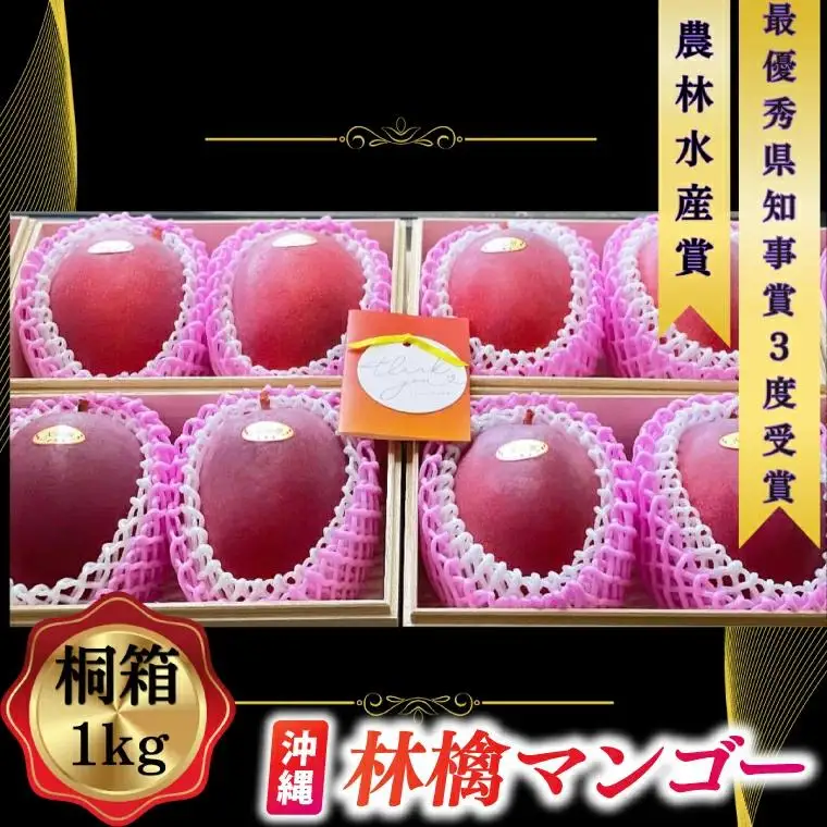 【2026年6月下旬より順次発送】★数量限定★沖縄県最優秀県知事賞に3度輝いた！★桐箱★沖縄マンゴー大玉 約1kg(約500g×2玉) (BV004)