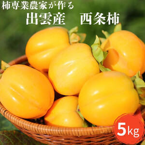 【柿専業の農家が作る】出雲産西条柿　5kg