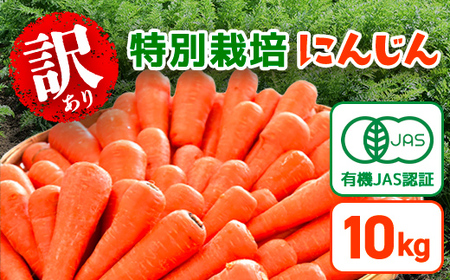 春にんじん 訳あり 有機JAS認証 特別栽培にんじん 10kg　SMF002