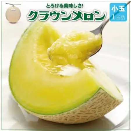 【一年中食べられる!】クラウンメロン (小玉)  1玉 静岡県産 高級 マスクメロン【配送不可地域：離島・北海道・沖縄県】【1486509】