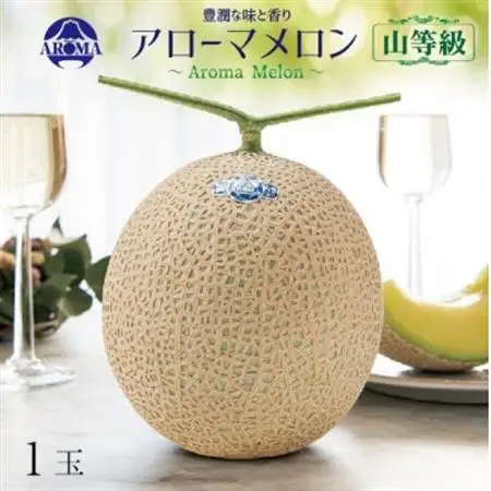 【通年出荷】アローマメロン(山等級) 1玉入【品格溢れる高級品】【配送不可地域：離島・北海道・沖縄県】【1170113】