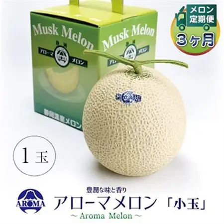 【毎月定期便】アローマメロン(小玉) 1玉 全3回【配送不可地域：離島・北海道・沖縄県】【4013007】