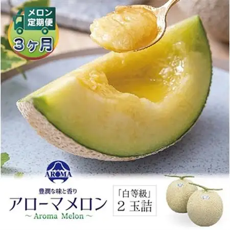 【毎月定期便】アローマメロン(白等級) 2玉 全3回【配送不可地域：離島・北海道・沖縄県】【4013005】