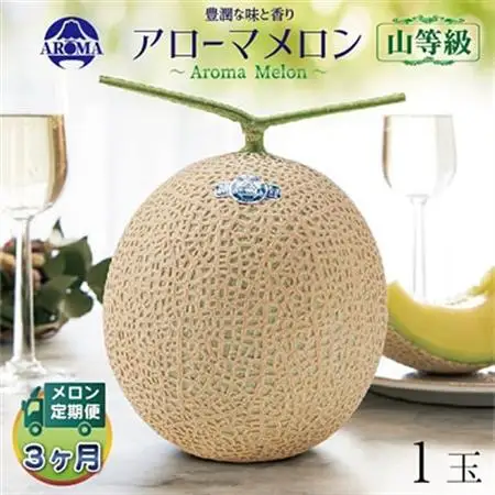 【毎月定期便】アローマメロン(山等級) 1玉 全3回【配送不可地域：離島・北海道・沖縄県】【4012998】