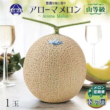 【毎月定期便】アローマメロン(山等級) 1玉 全12回【配送不可地域：離島・北海道・沖縄県】【4013000】