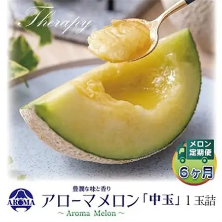 【毎月定期便】アローマメロン白等級(中玉) 1玉 全6回【配送不可地域：離島・北海道・沖縄県】【4013017】