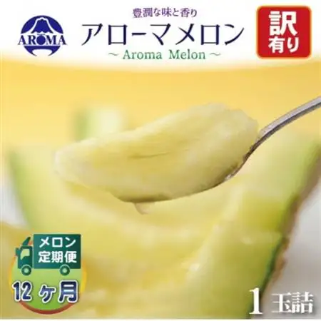 【毎月定期便】【訳あり】アローマメロン 1玉 全12回【配送不可地域：離島・北海道・沖縄県】【4013172】