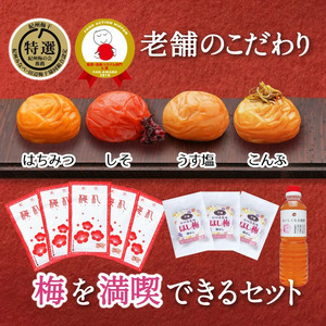 梅干し 梅満喫セット 特選A級  味わい4種800g 千年の知恵 梅干し【hoso015A】