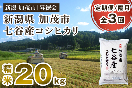 【令和7年産】【定期便3回隔月お届け】 七谷産コシヒカリ 精米20kg（5kg×4） 白米 高柳地域産数量限定 昇徳会