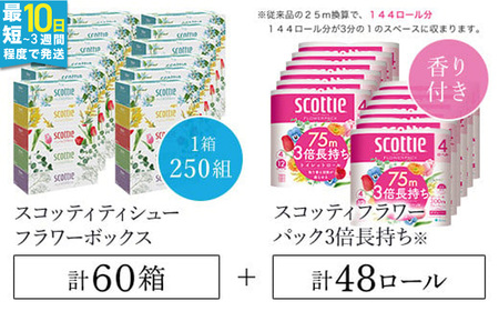スコッティトイレットロール 48個 + ボックスティッシュ 60箱（トイレットペーパー ティッシュ）