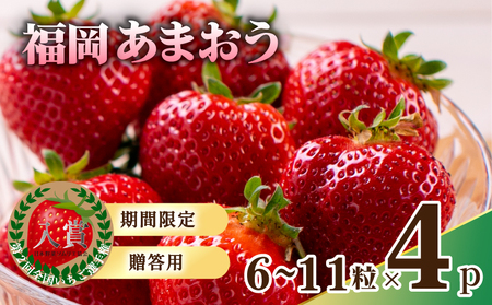 【いちご】 4パック あまおう |いちご DNK